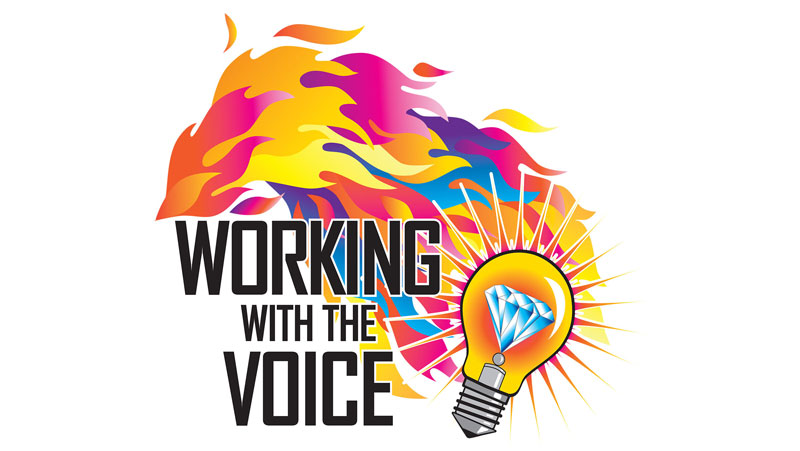 working with the voice logo